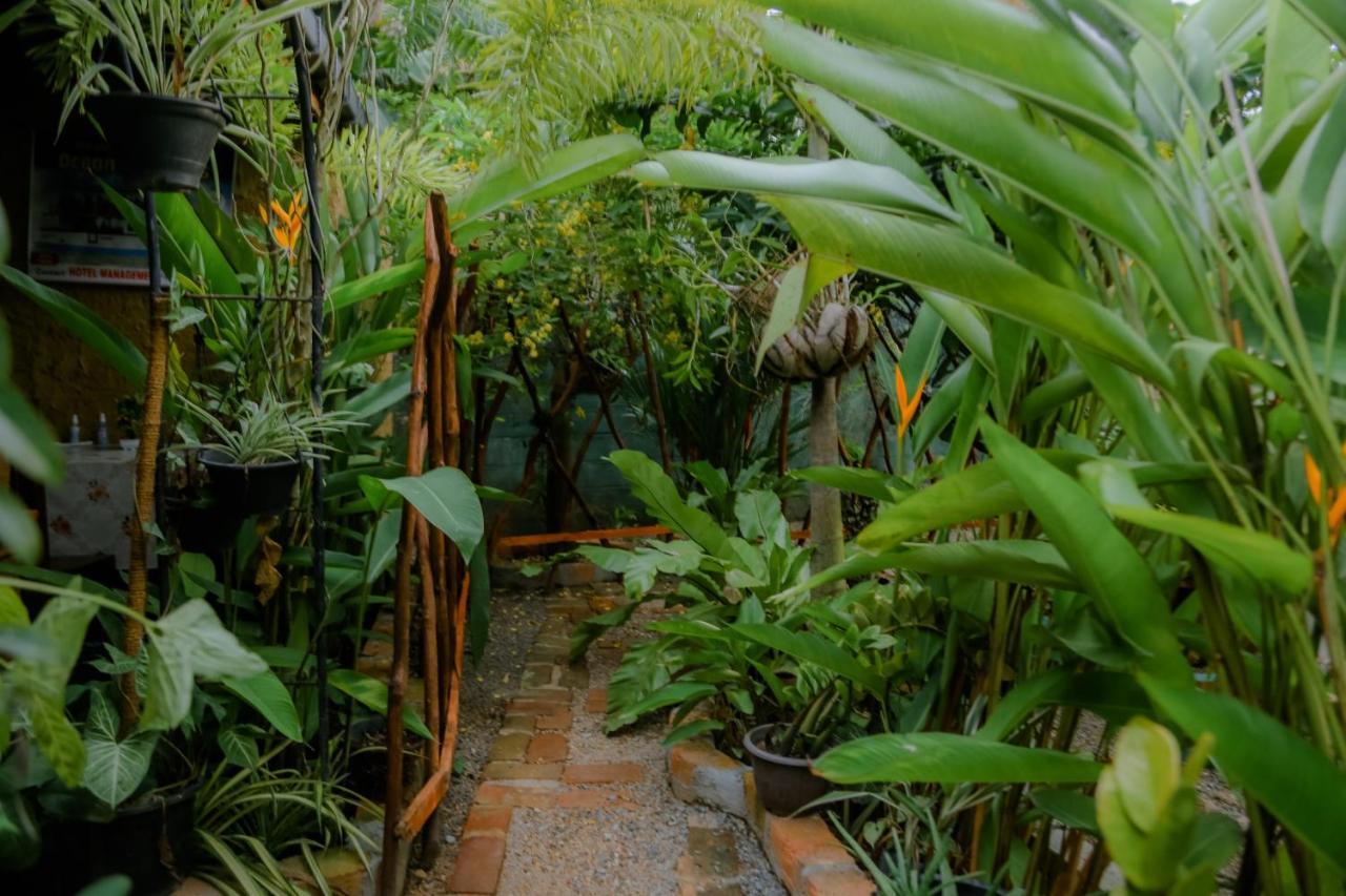 Ruwan Jungle Homestay ميريسا المظهر الخارجي الصورة