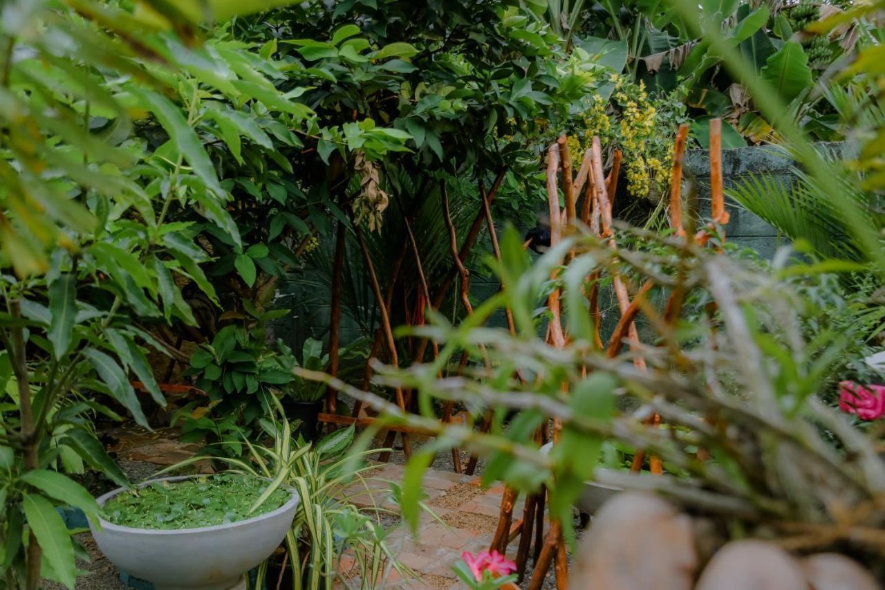 Ruwan Jungle Homestay ميريسا المظهر الخارجي الصورة