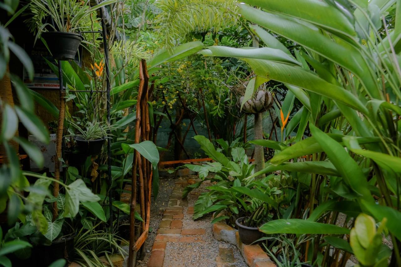 Ruwan Jungle Homestay ميريسا المظهر الخارجي الصورة