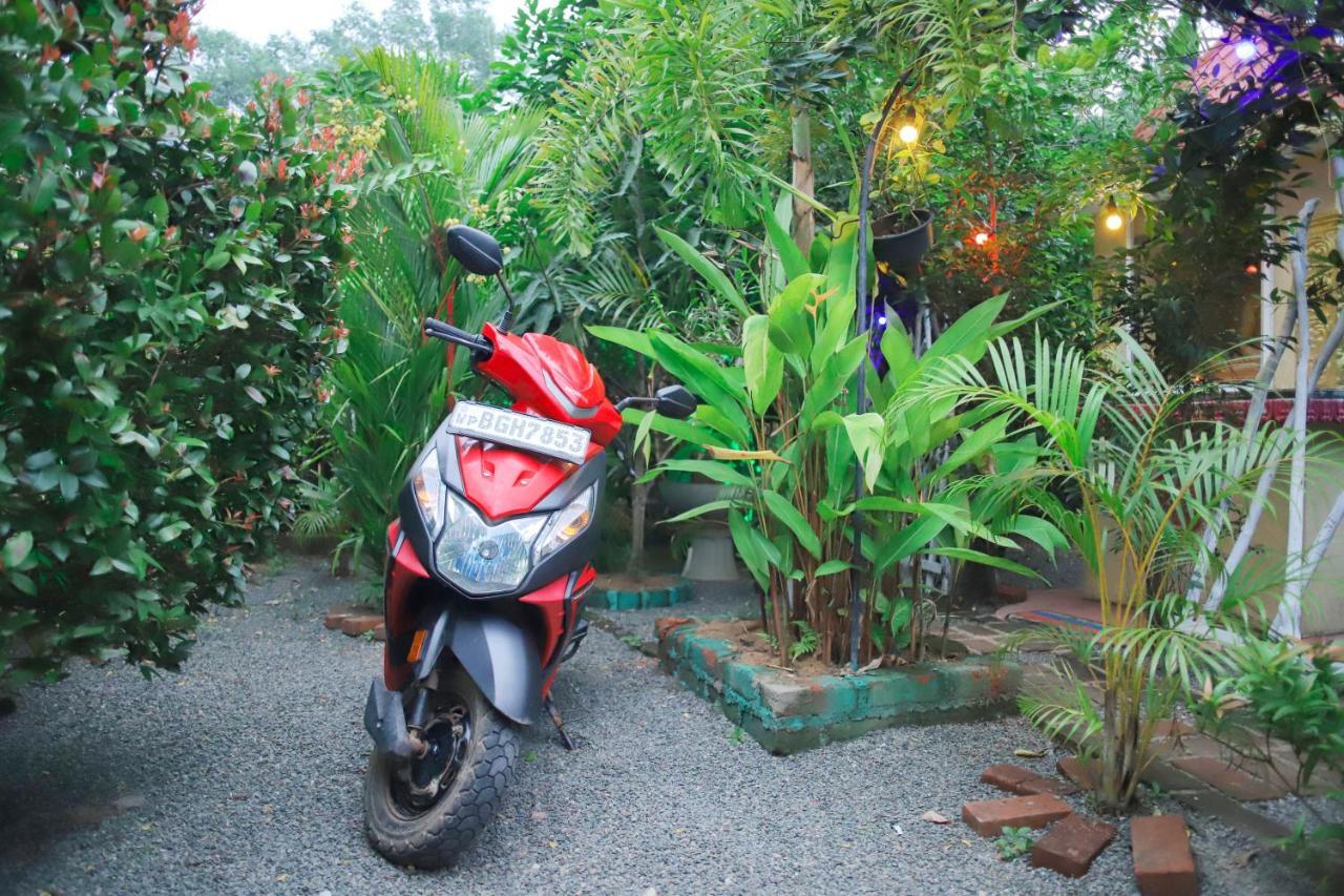 Ruwan Jungle Homestay ميريسا المظهر الخارجي الصورة