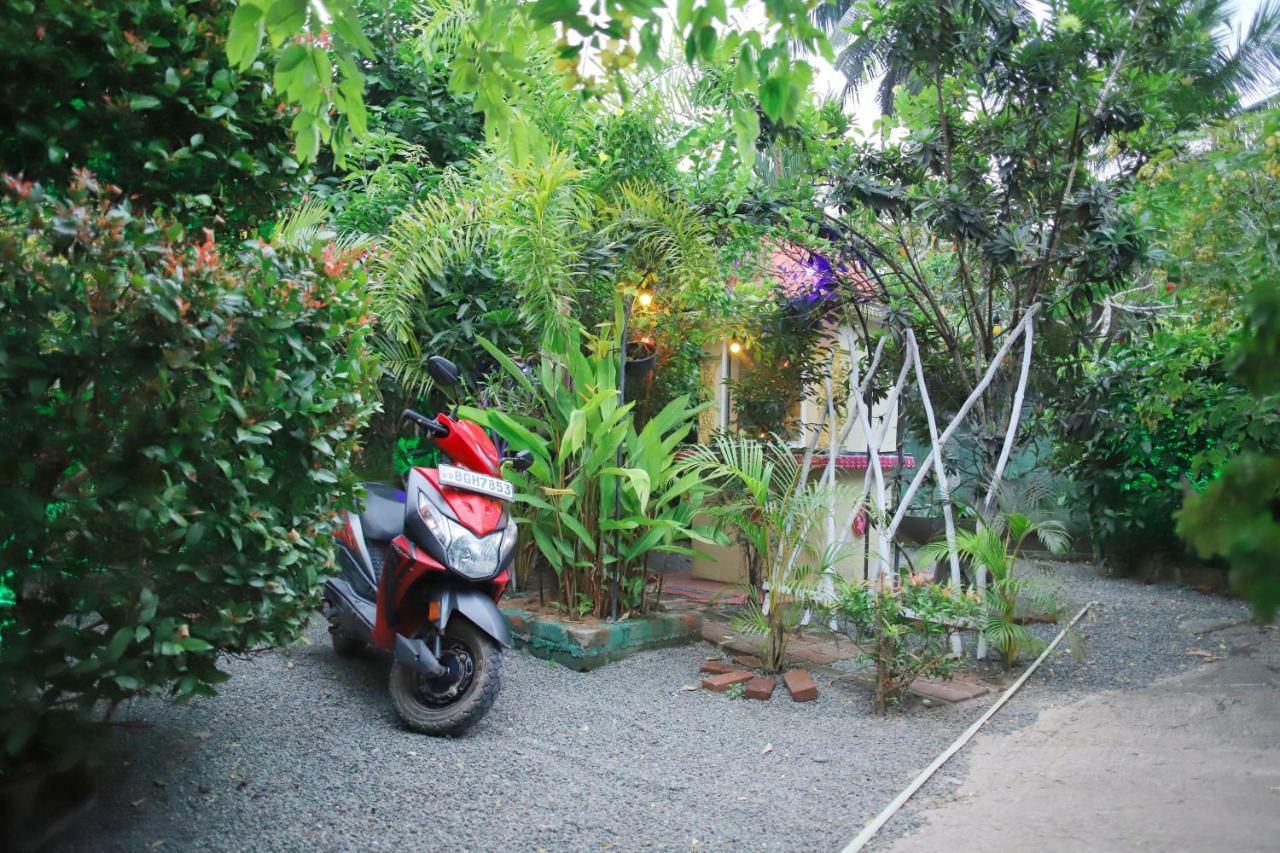Ruwan Jungle Homestay ميريسا المظهر الخارجي الصورة
