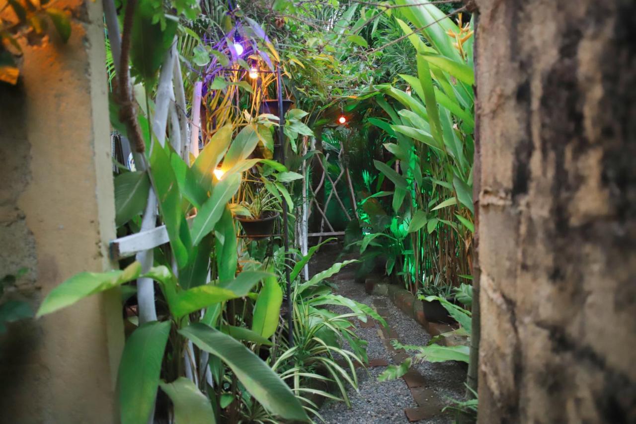 Ruwan Jungle Homestay ميريسا المظهر الخارجي الصورة