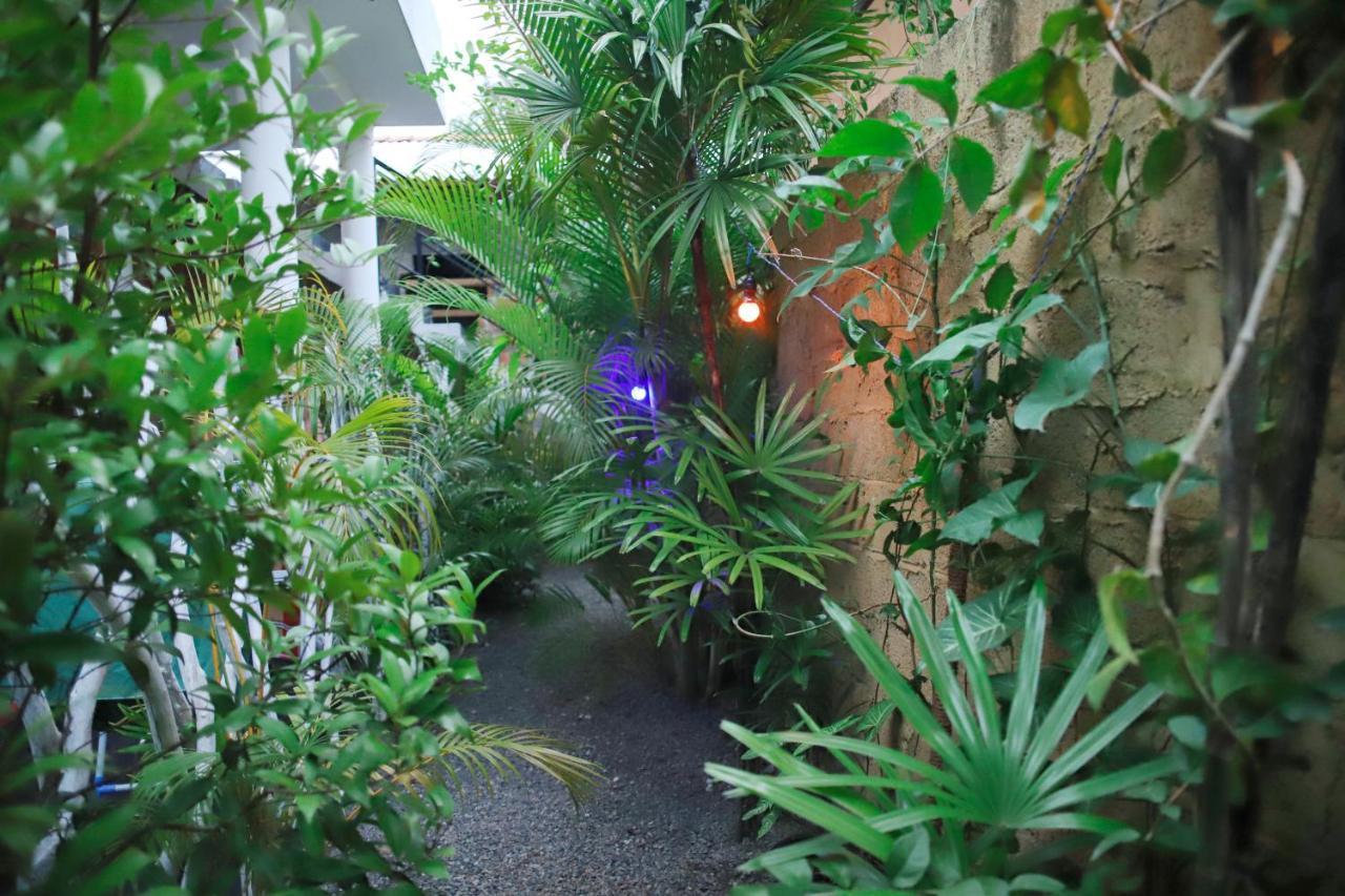 Ruwan Jungle Homestay ميريسا المظهر الخارجي الصورة