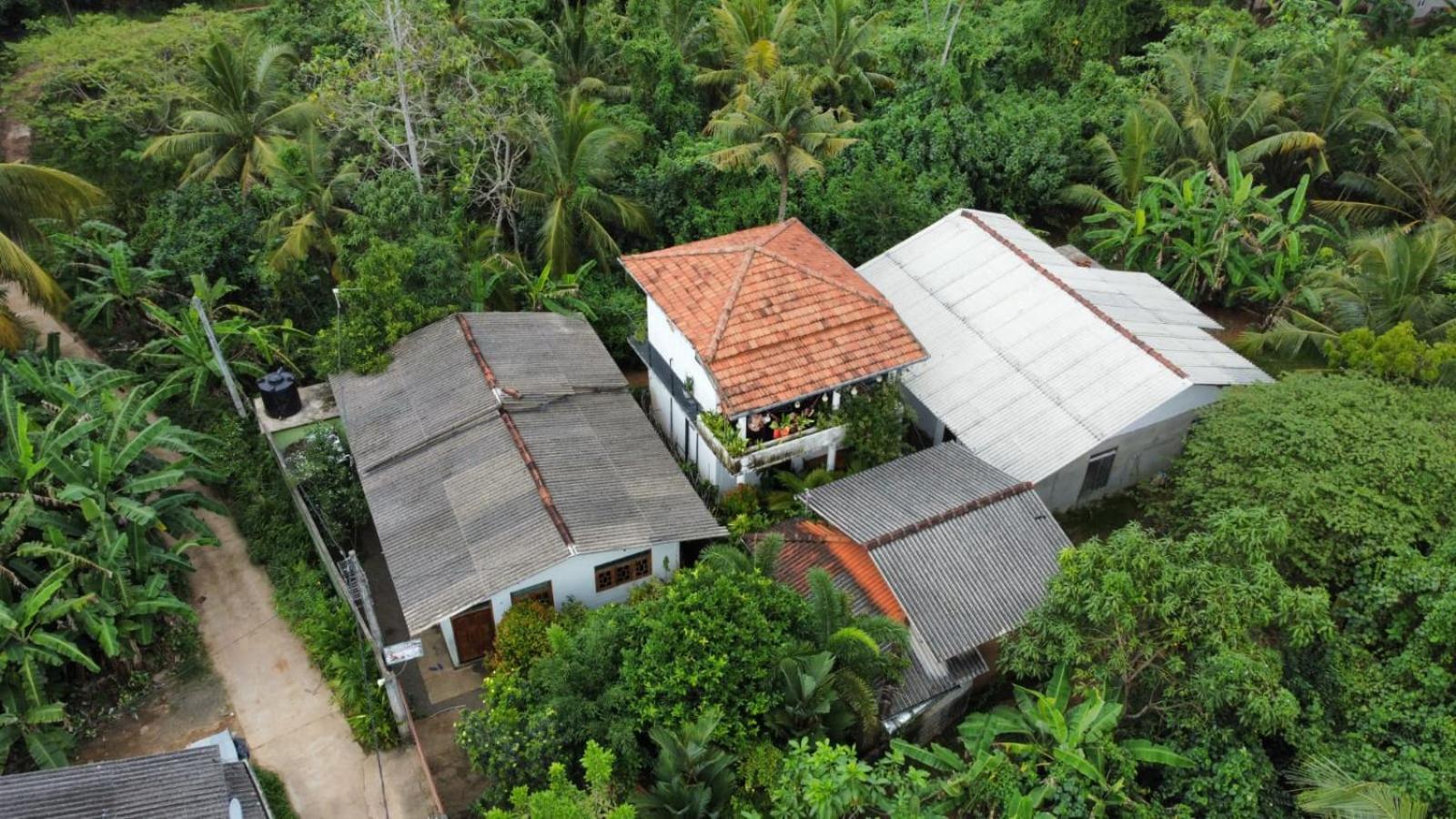 Ruwan Jungle Homestay ميريسا المظهر الخارجي الصورة
