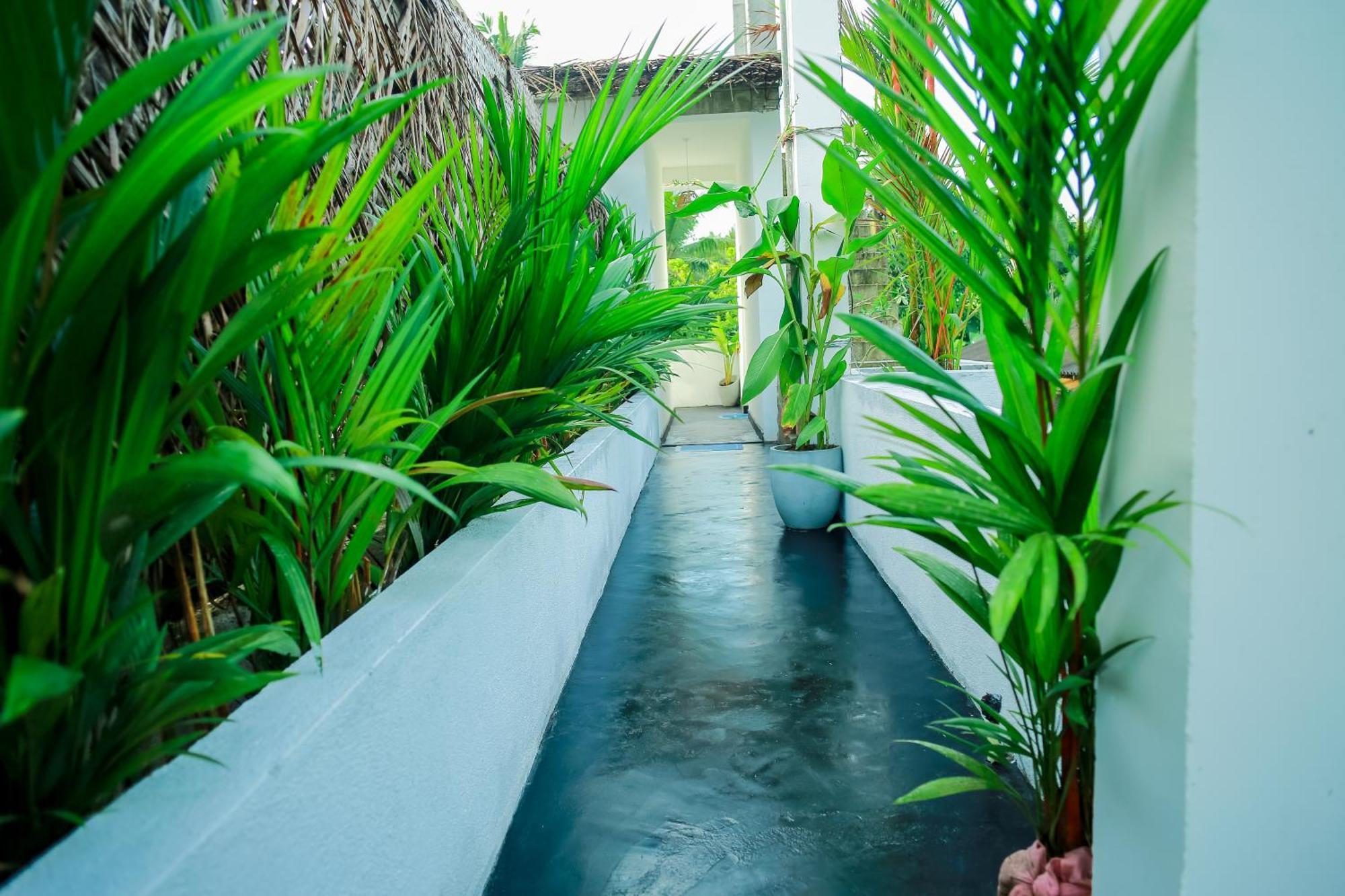 Ruwan Jungle Homestay ميريسا المظهر الخارجي الصورة