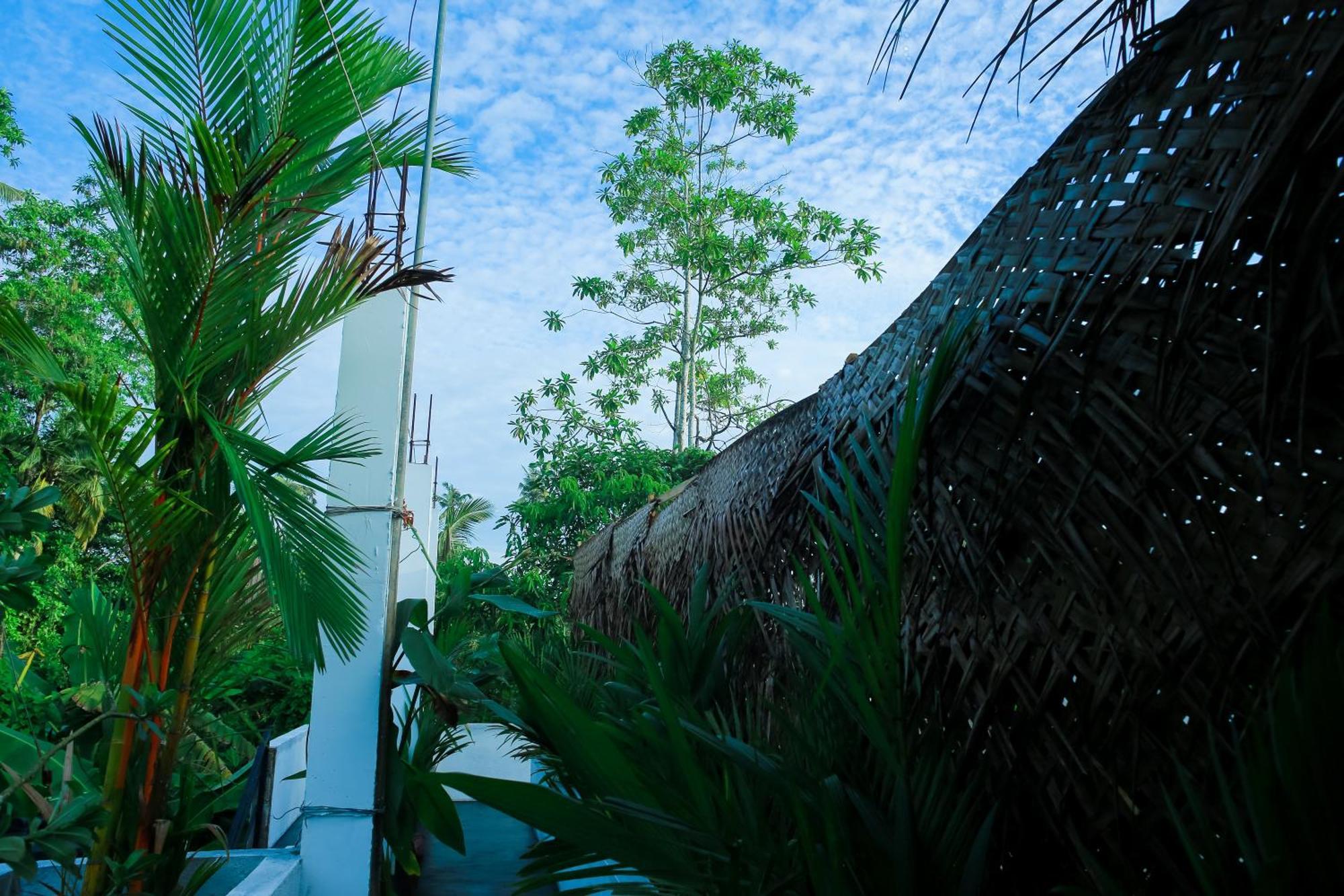 Ruwan Jungle Homestay ميريسا المظهر الخارجي الصورة